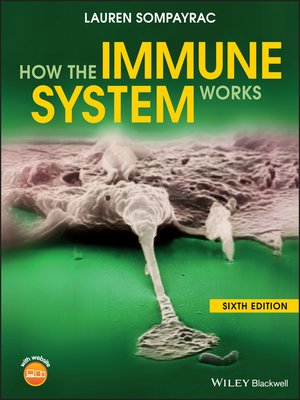cover image of How the Immune System Works